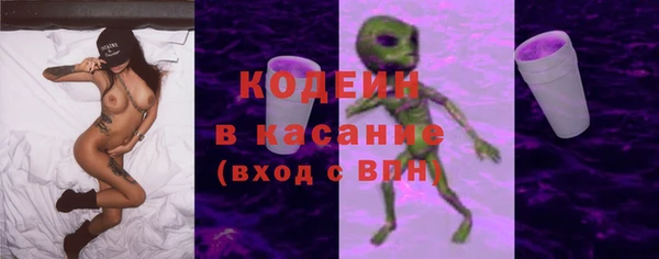 крисы Елизово