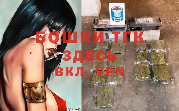 МДПВ Богородск