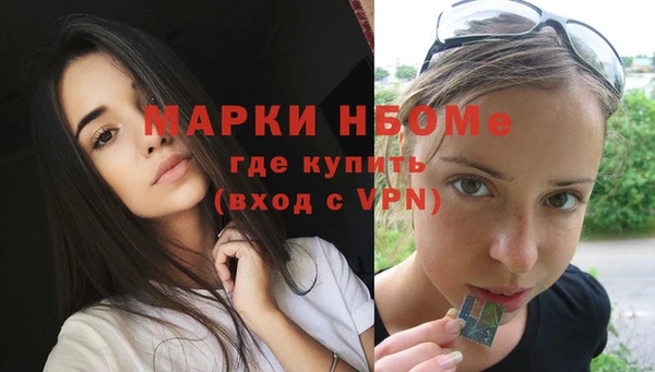 МДПВ Богородск